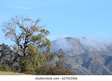 San Gabriel Mountains In California