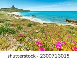 San Giovanni di Sinis shoreline in springtime. Sardinia, Italy