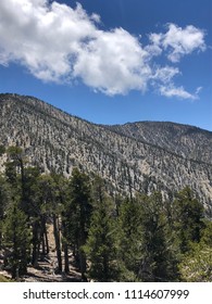 San Gorgonio Mountain Hike And View