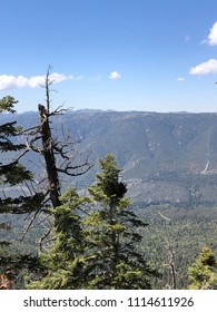 San Gorgonio Mountain Hike And View