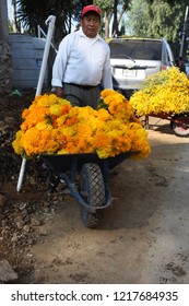 San Gregorio Atlapulco, Mexico/Mexico--October 31, 2018. Street Vendors Selling Cempasuchil (marigolds), Day Of The Dead Flowers (Flor De Muerto).