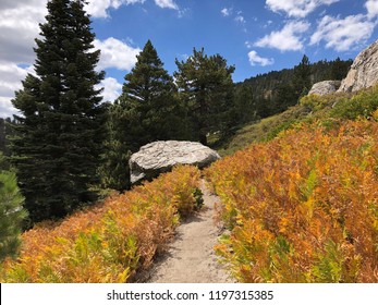 San Jacinto Mountains, California