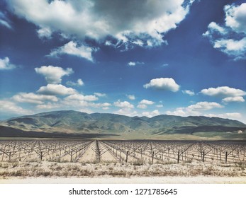 San Joaquin Valley Farming