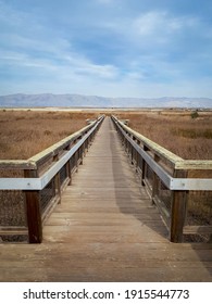 San Jose Boardwalk Looking Towards The Diablo Range Mountains