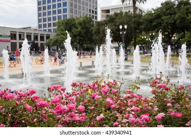 SAN JOSE, CALIFORNIA - JUNE 17, 2016: Gushing Fountains In Plaza De Cesar Chavez Park Pictured Behind A Hedge Of Rose Bushes On June 17, 2016 In San Jose, California