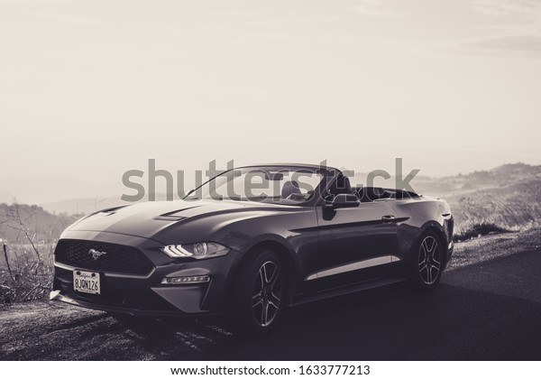 San Jose, California / United States - February 1\
2020: Beautiful 2019 Ford Mustang on mountain road with bokeh in\
black and white