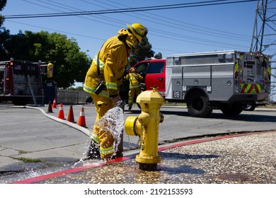 San Jose, California, USA August 19,2022 - San Jose Fighter Fighter Prepping A Fire Hydrant To Fight A Fire In East San Jose