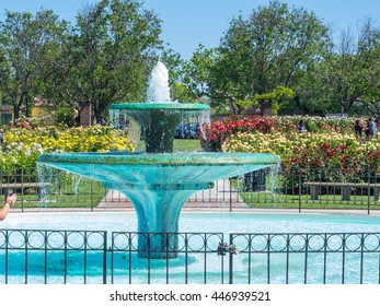 Imagenes Fotos De Stock Y Vectores Sobre San Jose Rose Garden