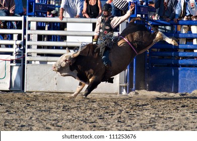 SAN JUAN CAPISTRANO, CA - AUGUST 25: unidentified  cowboy competes in the bull riding event at the PRCA Rancho Mission Viejo rodeo in San Juan Capistrano, CA on August 25, 2012.