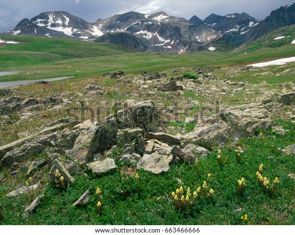The San Juan Range and Continental Divide\
Trail, Weminuche Wilderness,\
Colorado\
