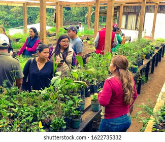 San Lucas Sacatepequez, Sacatepequez / Guatemala - CERCA 2019: Students Participating To A Sustainable Horticulture Class At Huerto Chikach

