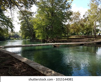 The San Marcos River Rises From The San Marcos Springs, The Location Of Aquarena Springs, In San Marcos, Texas. Taken In October 5, 2017 At Sewell Park.