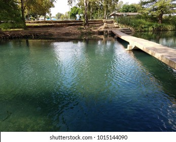 The San Marcos River Rises From The San Marcos Springs, The Location Of Aquarena Springs, In San Marcos, Texas. Taken In October 5, 2017 At Sewell Park.