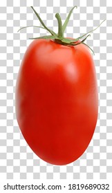 San Marzano, Plum Or Roma Tomato  Isolated On Transparent Background Including Clipping Path.