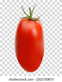 San Marzano, Plum Or Roma Tomato Isolated On Pattern Background Including Clipping Path.	