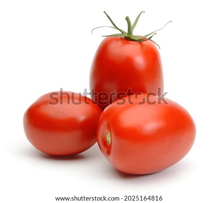 San Marzano, plum or Roma tomato  isolated on white background including clipping path.