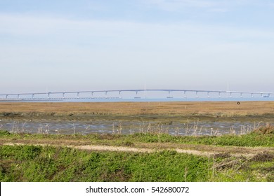 San Mateo Bridge As Seen From Redwood Shores Bay Trail, California