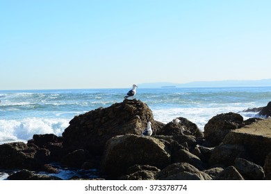 San Pedro, Southern California Ocean View