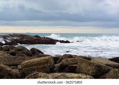 San Pedro Southern California Tide Pools