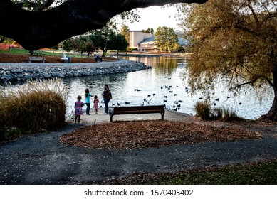 San Rafael, CA: 11/4/2019Feeding The Ducks