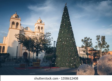 San Salvador Gorseller Stok Fotograflar Ve Vektorler Shutterstock