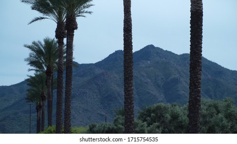 San Tan Mountain In Gilbert, AZ