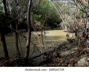 16 San timoteo creek Images, Stock Photos & Vectors | Shutterstock