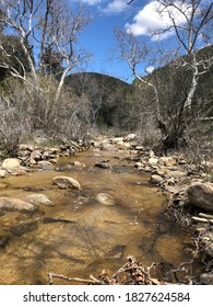 San Ysidro Creek On The PCT