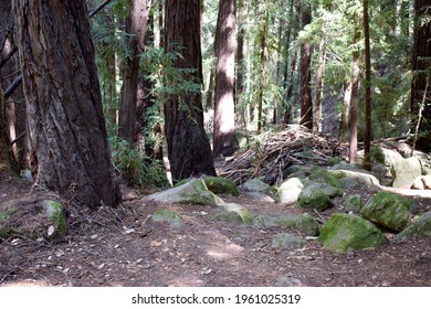 Sanborn County Park In Santa Clara, CA.