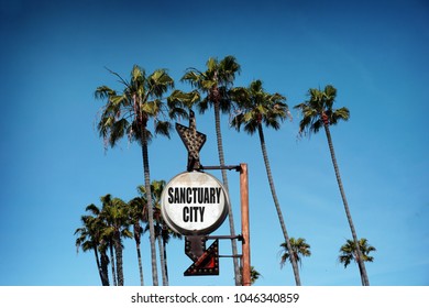 Sanctuary City Sign With Palm Trees                            