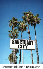 Sanctuary City Sign With Palm Trees                              