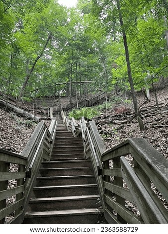 Sanctuary Woods Preserve - Holland, Michigan - September 2023