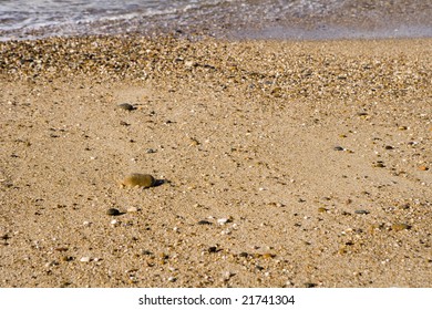 sand - Shutterstock ID 21741304