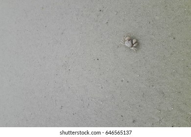 sand