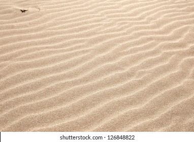sand as a backdrop. dune