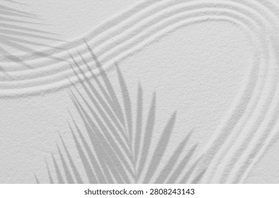 Sand Background with Circle, Shadow Leaf on White Textured Surface, inspired by Japanese Zen Spa Design. Peaceful Nature Art featuring Simplistic Geometric Lines, Beach Pattern, Top view with  Space