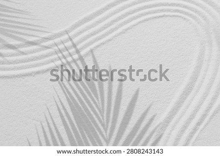 Sand Background with Circle, Shadow Leaf on White Textured Surface, inspired by Japanese Zen Spa Design. Peaceful Nature Art featuring Simplistic Geometric Lines, Beach Pattern, Top view with  Space