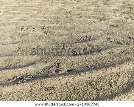 sand background, a granular material consisting of finely divided rock and mineral particles.