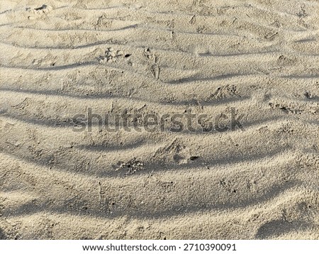 sand background, a granular material consisting of finely divided rock and mineral particles.