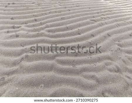 sand background, a granular material consisting of finely divided rock and mineral particles.