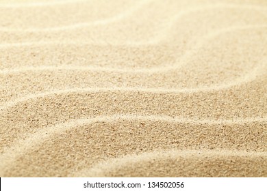 Sand Background. Sandy Beach Texture. Macro Shot. Copy Space