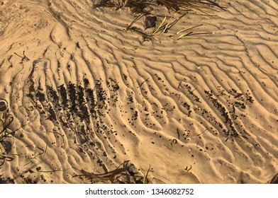 sand background under water