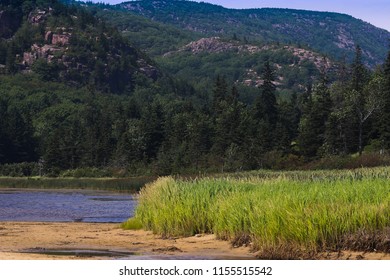 Sand Beach Acadia National Park