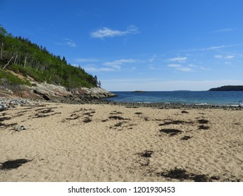 Sand Beach Acadia National Park