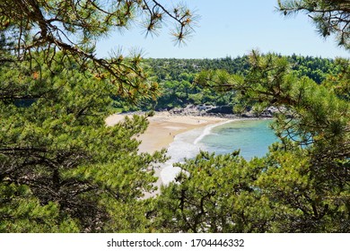 Sand Beach In Acadia National Park In Maine USA