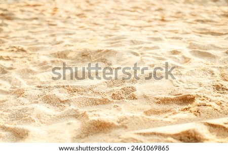 Sand Beach Background Close up Texture Summer Desert Zen Garden Coast Ocean for Vacation, Hot Summer Tropical Scene Chill Nature, Summer Time Yoga Holiday Dune Pile Dry Brown Heap Particle.