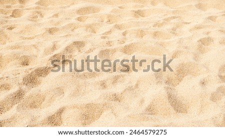 Sand Beach Background Close up Texture Summer Desert Zen Garden Coast Ocean for Vacation, Hot Summer Tropical Scene Chill Nature, Summer Time Yoga Holiday Dune Pile Dry Brown Heap Particle.