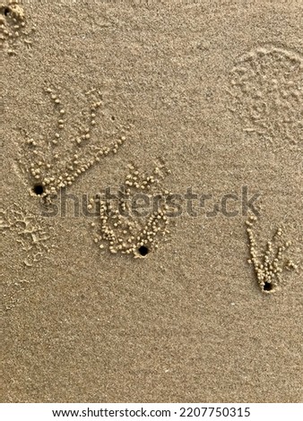 sand of beach in brown colour
