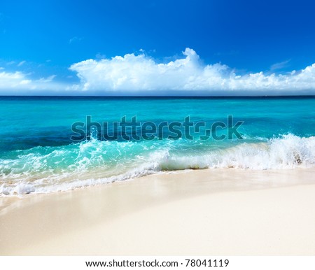 sand of beach caribbean sea
