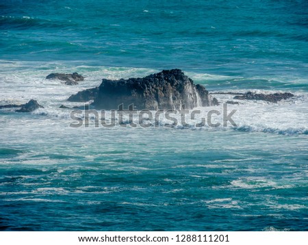 Sand, beach, cliffs, rolling ocean, gannet colonies, blue oceans and crashing waves await the visitors to muriwai